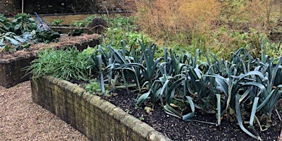 Primaire afbeelding van Open Garden: Incredible Edible