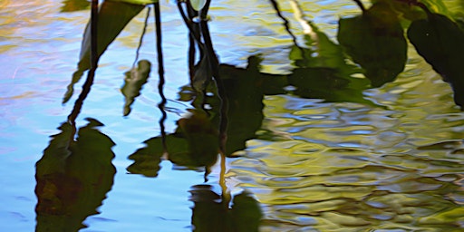 Hauptbild für Yoga Behind the Lens: Photographing from the Heart, Sept 1-7, 2024