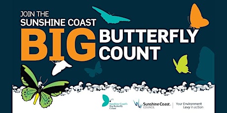 Point Cartwright Reserve - Big Butterfly Count primary image