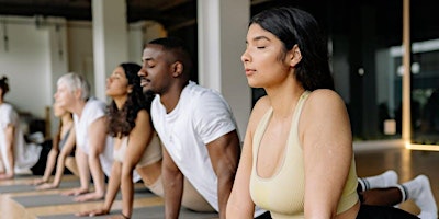 Vinyasa Flow Yoga  primärbild