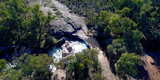 Thinking Green: Noble Falls guided bushwalk primary image