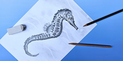 Imagem principal de Seahorse drawing techniques (Mudgee Library ages 6-12)