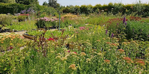 Hauptbild für Nursery Open Day