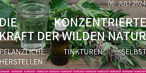 Imagem principal do evento Kräuterworkshop – Konzentrierte Kraft der Natur – Tinkturen herstellen