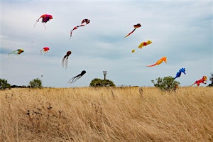 Kite Festival primary image