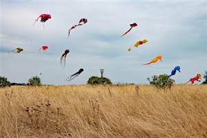 Primaire afbeelding van Kite Festival