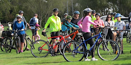 Marton Rotary Pedal 4 Pleasure 2024 primary image