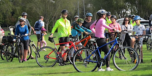 Marton Rotary Pedal 4 Pleasure 2024 primary image