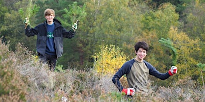 Hauptbild für South Downs Youth Action: Amberley Museum and Tree Popping