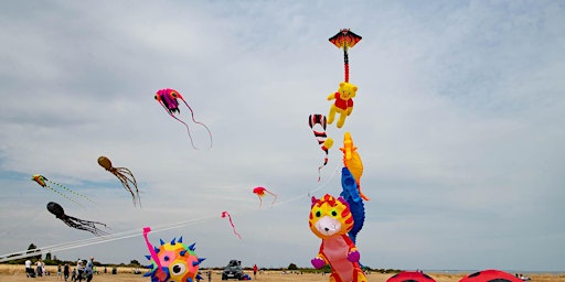 Hauptbild für Kite Festival
