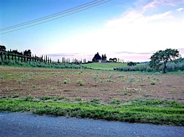 Immagine principale di Grotte Gialle Linaglia e Parmigiani Casale Marittimo 