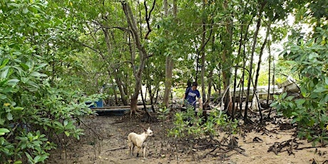 Sungei Loyang Mangrove Cleanup @ Pasir Ris Park with NUS Toddycats!