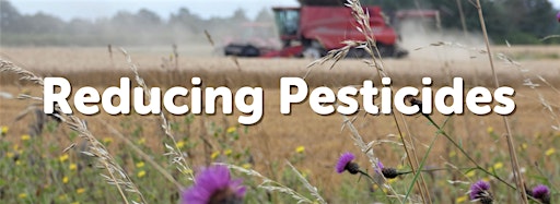 Collection image for Reducing Pesticides workshop series
