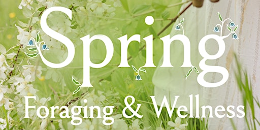 Spring Foraging & Wellness Retreat primary image