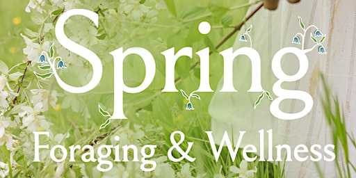 Spring Foraging & Wellness Retreat  primärbild