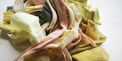 Imagen principal de Introduction to Natural Dyeing