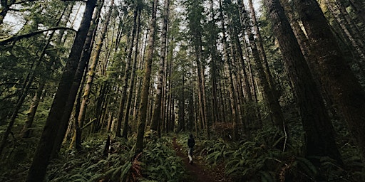 Primaire afbeelding van Luminar & Fujifilm photo walk  in Port Angeles with Zachary Salter