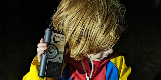 Primaire afbeelding van Guided Bat Walk - Gawthorpe