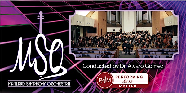 Classical Brilliance with the Maitland Symphony Orchestra