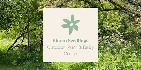 Bloom's Seedlings - Outdoor Mum & Baby Groups (Holiday Taster Sessions)