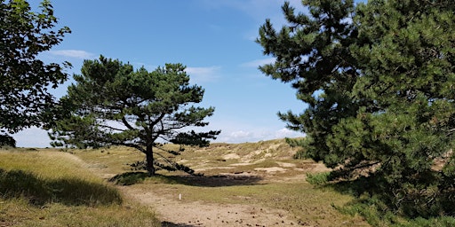 NWT Holme Dunes nature walk primary image