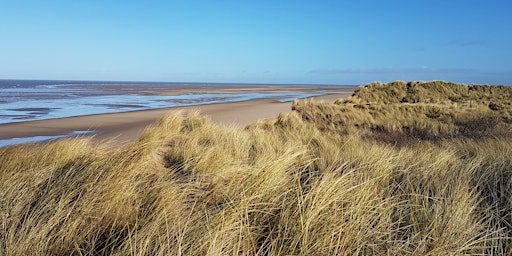 NWT Holme Dunes walk with the warden