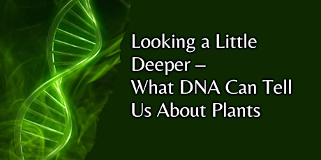 Image principale de Looking a Little Deeper - What can DNA tell us about plants