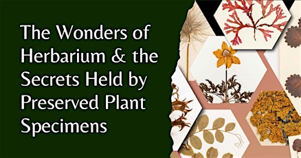 Herbarium Wonders - The secrets held by preserved plant specimens primary image