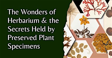 Hauptbild für Herbarium Wonders - The secrets held by preserved plant specimens