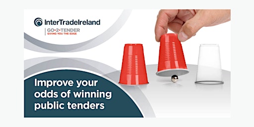 Primaire afbeelding van InterTradeIreland Go-2-Tender Workshops May 2024