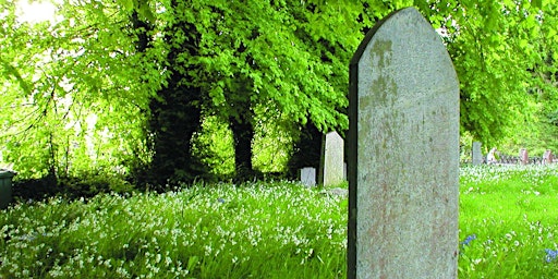 Hauptbild für Managing churchyards with wildflowers in mind