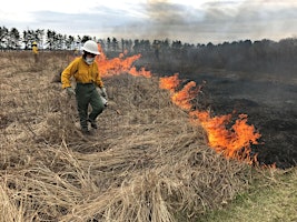 Imagen principal de Learn-N-Burn Grassland Prescribed Fire Workshop