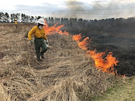 Imagem principal de Learn-N-Burn Grassland Prescribed Fire Workshop