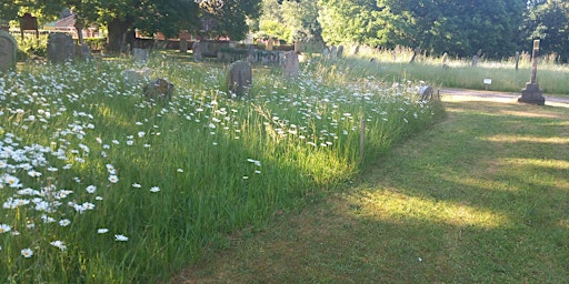 Hauptbild für Caring for conservation areas in your churchyard