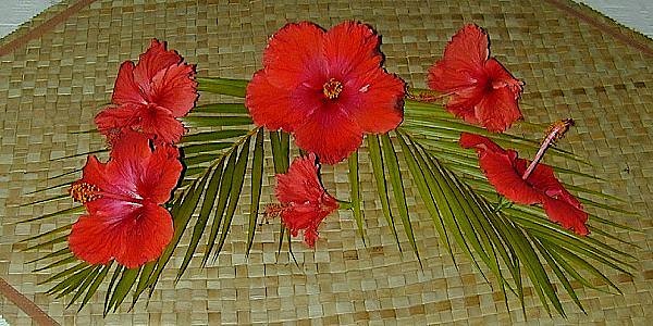 Pasifika Health Promotion Workshop - Auckland