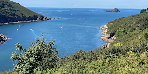 Primaire afbeelding van Site Visit: Wembury Peninsula Project