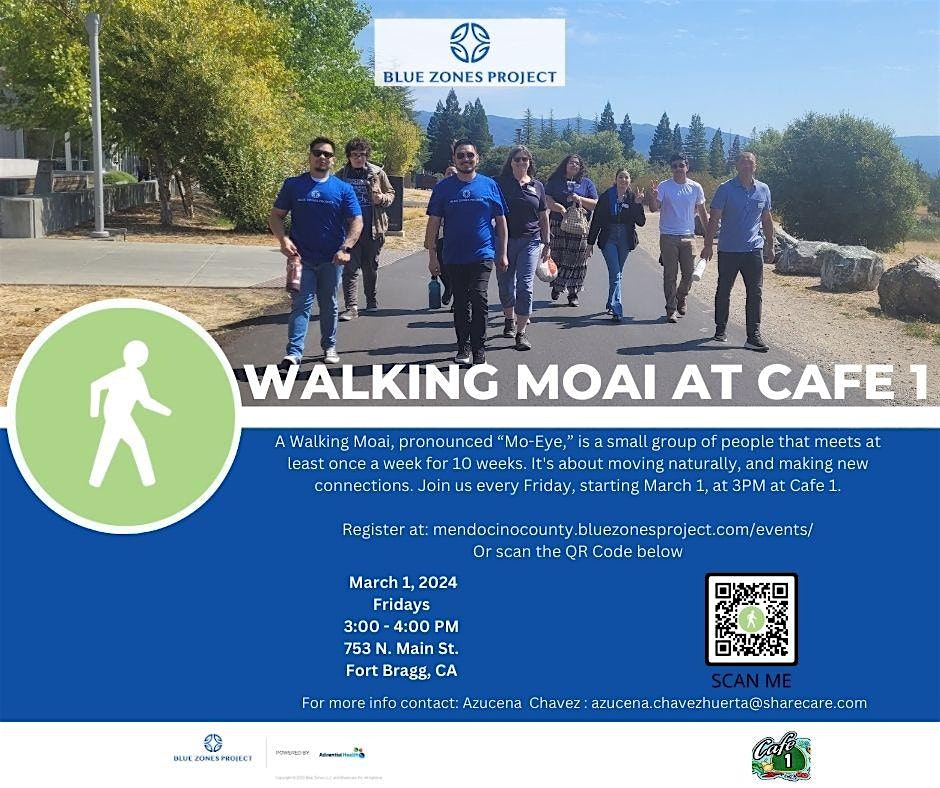 BZP Mendocino County – Cafe 1 Walking Moai
