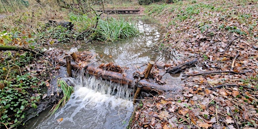 Primaire afbeelding van Leaky Dam Day