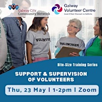 Bite Sized Lunch Time Workshop – Support & Supervision of Volunteers