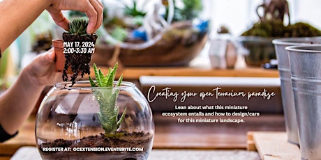 gARTening Series:  Creating Your Open Terrarium Paradise-In-Person class