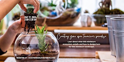 Imagen principal de gARTening Series: Glass Garden Magic: Creating Your Open Terrarium Paradise