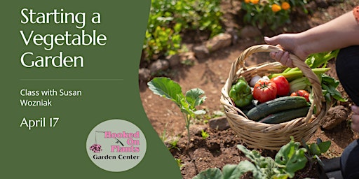 Image principale de Class: Starting a Vegetable Garden