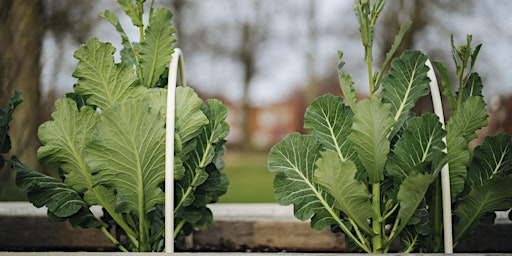 Hauptbild für Growing Community: Spring Harvest