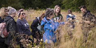 Summer Foraging, Wildcrafting  & Crystals : Oban primary image