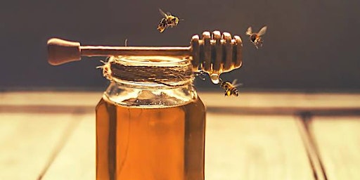 From Hive to Honey: Exploring the World of Honey Bees and Beekeeping  primärbild