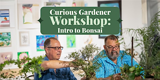 Curious Gardener Workshop: Intro to Bonsai primary image