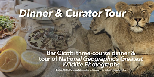 Dinner & Curator Tour of National Geographic’s Greatest Wildlife Photos  primärbild