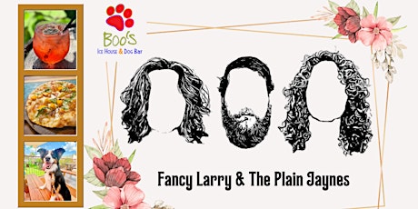 Fancy Larry & the Plain Jaynes primary image