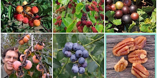 FL Native Plant Society NATIVE PLANTS in URBAN FOOD FORESTS - VIRTUAL &LIVE primary image