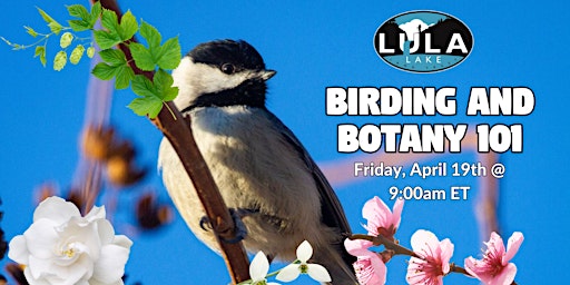 Imagem principal do evento Birding And Botany 101